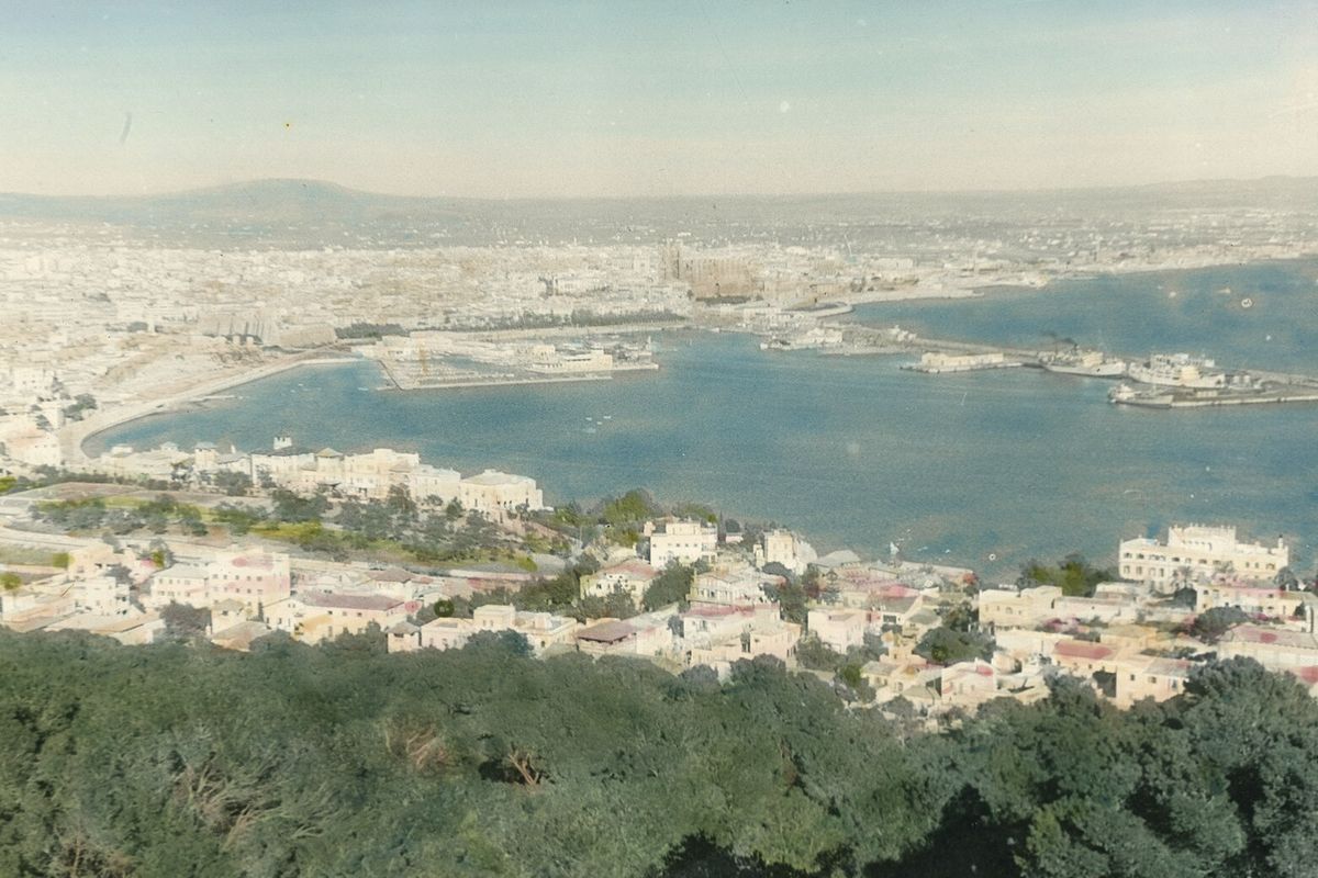 Una vista acolorida a mà sobre pinedes i cases blanques cap al port i la badia de Palma, amb la catedral i els turons al fons.